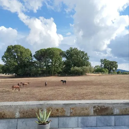 Salomonio Hill
